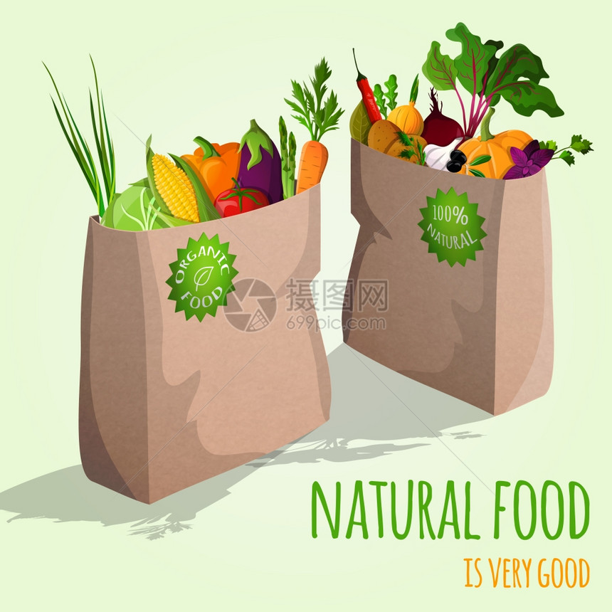 天然食品纸袋矢量插图中很好的机蔬菜图片