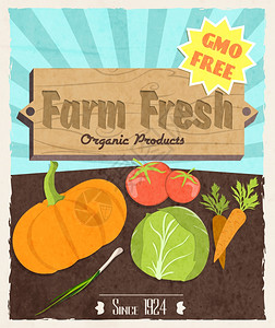 蔬菜食品农场新鲜复古海报基因免费机产品矢量插图背景图片