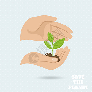 手植物芽拯救地球保护海报矢量插图图片