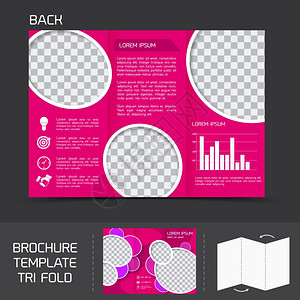 粉红商务纸小册子传单三折背模板与图表矢量插图图片