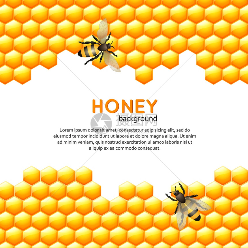 飞行蜜蜂与甜蜜梳华丽的背景矢量插图图片