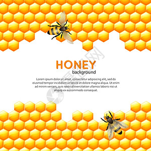 飞行蜜蜂与甜蜜梳华丽的背景矢量插图图片