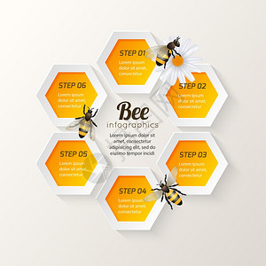 蜜蜂雏菊梳子背景六边形步骤信息矢量插图图片