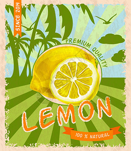 柑橘水果海报天然新鲜机柠檬优质复古海报矢量插图插画