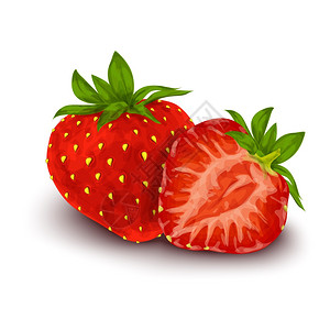 草莓叶片天然机甜草莓与叶片种子分离白色背景海报矢量插图插画