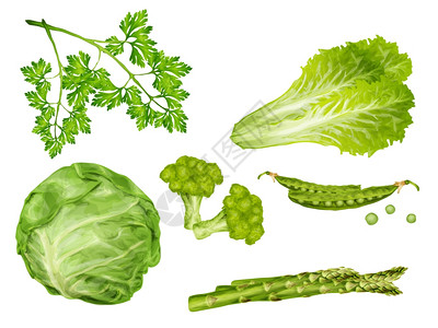 绿色西兰花绿色蔬菜机食品与卷心菜欧芹豌豆生菜分离矢量插图插画