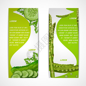 绿色蔬菜机食品垂直横幅欧芹豌豆黄瓜分离矢量插图图片