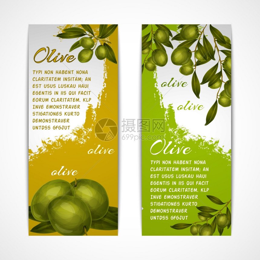 绿色蔬菜机食品橄榄垂直横幅孤立矢量插图图片