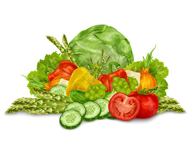 黄瓜卷心菜蔬菜机食品混合静物分离白色背景矢量插图插画