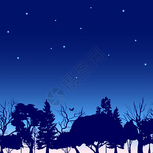 装饰夜间夏季季节森林边界针叶云杉灌木落叶乔木轮廓抽象素描矢量插图图片