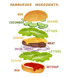 汉堡三明治配料套包黄瓜茄酱矢量插图图片
