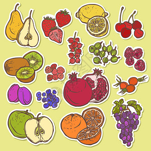 天然机水果浆果图标集樱桃石榴李子分离矢量插图图片