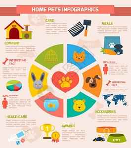 家庭宠物信息图集与饼图餐配件奖励保健舒适护理元素矢量插图图片