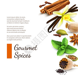 糖果美食香料食品装饰元素白色背景矢量插图上背景图片