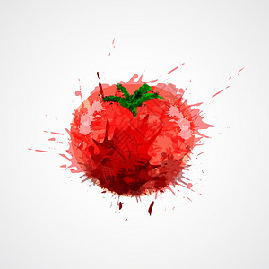 红色新鲜水彩飞溅染色番茄分离白色背景矢量插图图片