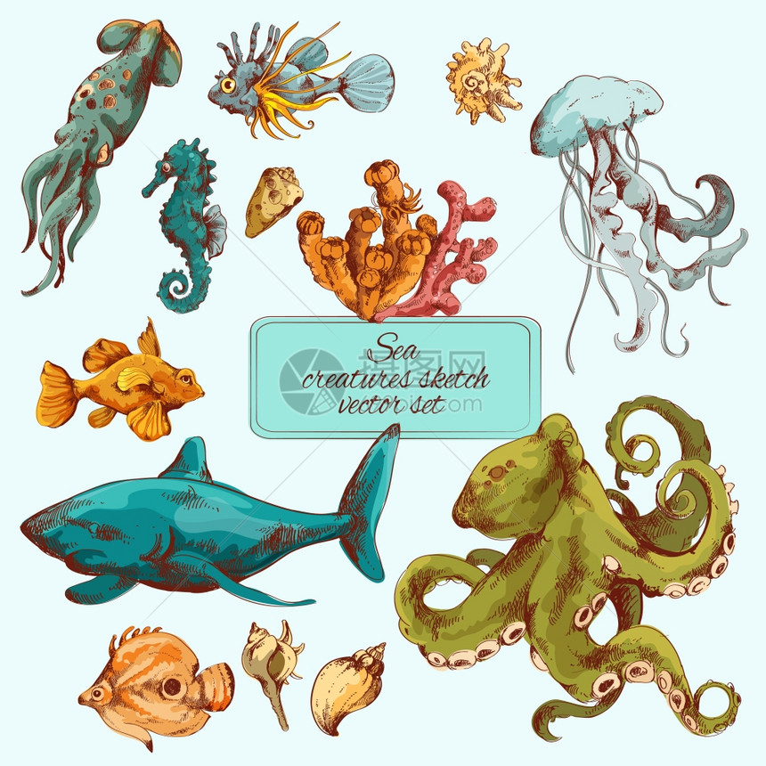海鱼海洋生物素描彩色装饰图标矢量插图图片