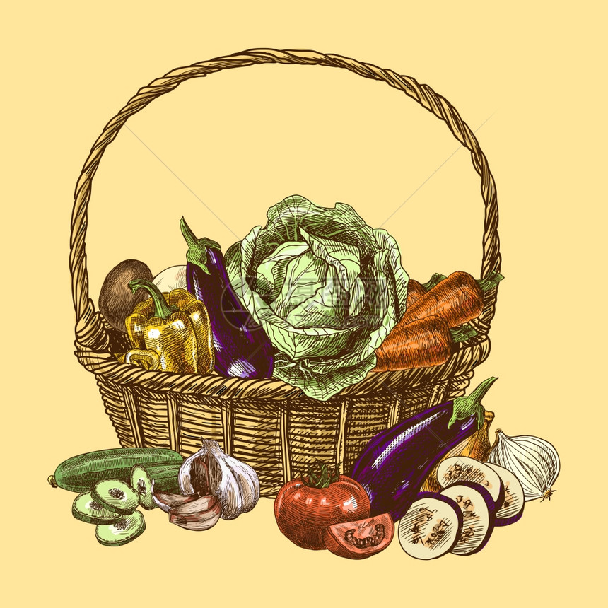 蔬菜篮子天然机新鲜食品颜色草图装饰集矢量插图图片