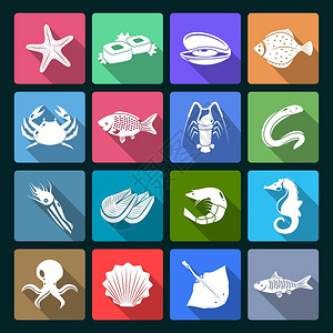 海鲜图标白色贝蟹鱿鱼牡蛎分离矢量插图图片
