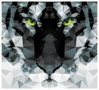三角形猫素材几何多边形白虎头,三角形图案,矢量插图插画