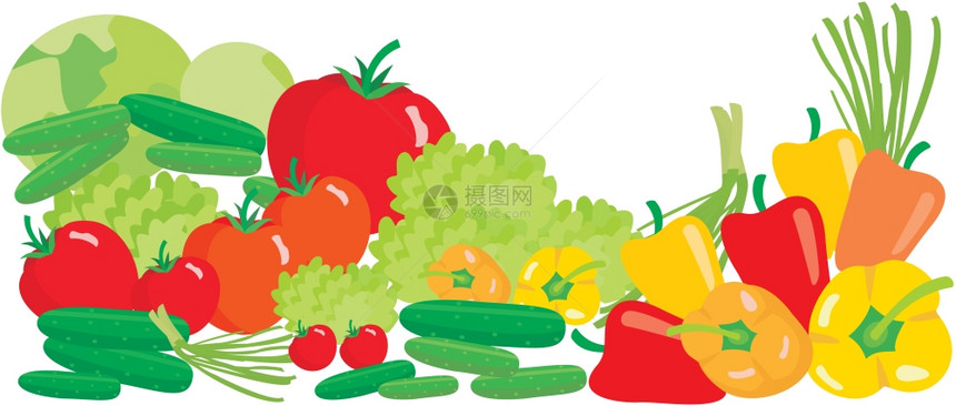 白色背景上的蔬菜图片