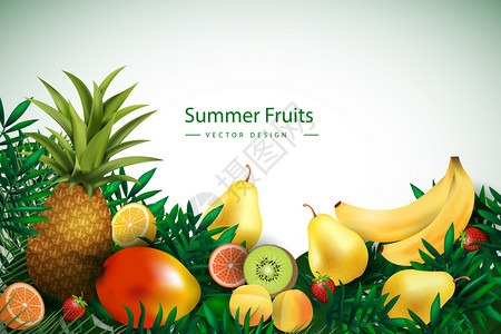 松果体夏季水果背景艺术夏季水果背景艺术矢量插画