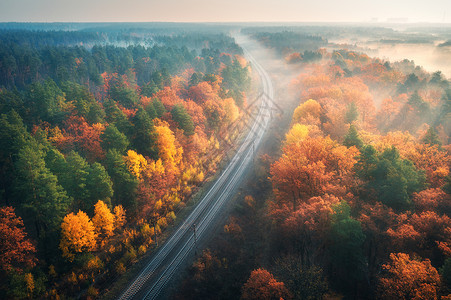黄昏秋色森林美丽的铁路空中景象图片