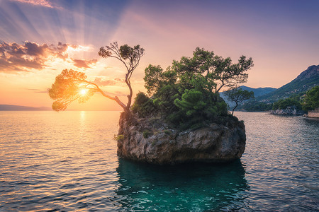 夏季在croati的日落时从岩石中生长出绿叶的美丽树蓝色海悬崖山峰橙色天空太阳光的多彩风景旅行自然背景背景图片