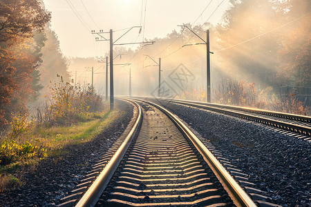秋天雾中的火车铁路轨道图片