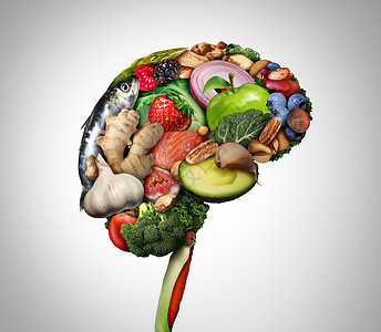 授人以鱼健康大脑食品以提升力营养概念作为一组营养坚果鱼蔬菜和富含蛋白3脂肪酸的浆果作为综合形象促进心理健康背景