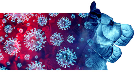 动物面具戴外科面具的猫和狗宠物疾病或冠状毒风险以保护其免受感染或兽医宠物卫生保健标志并配有3个插图要素背景