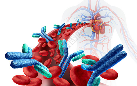 心血管系统人体血液中的抗与免疫系统有关防治疾病作为抗体或免疫球蛋白的医疗象征在动脉解剖概念中作为3d插图背景