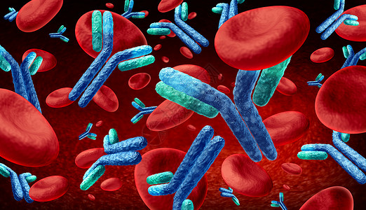 血液和免疫球蛋白概念中的抗体即在人中流动3d插图背景图片