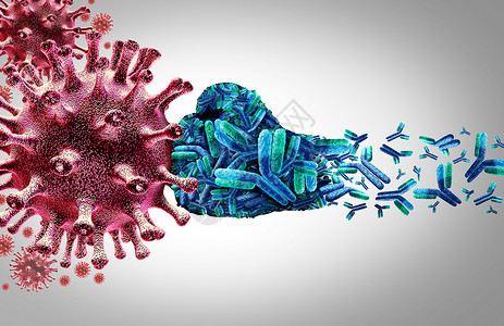 3d说明抗体攻击传染细胞和原体即抗攻击传染细胞和原体背景图片