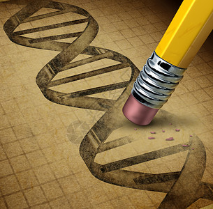 是垃圾男子基因工程和dna操纵是转基因食品或活生物体的技术科学其图象是用铅笔擦拭器改变纸板纹理上的底线设计图片