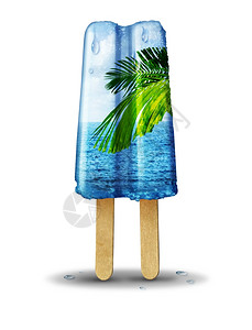 夏季热带棕榈树背景图图片
