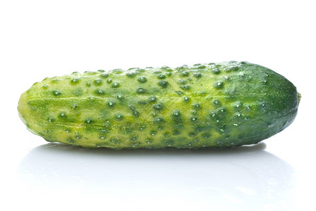 绿色黄瓜上隔着水滴图片