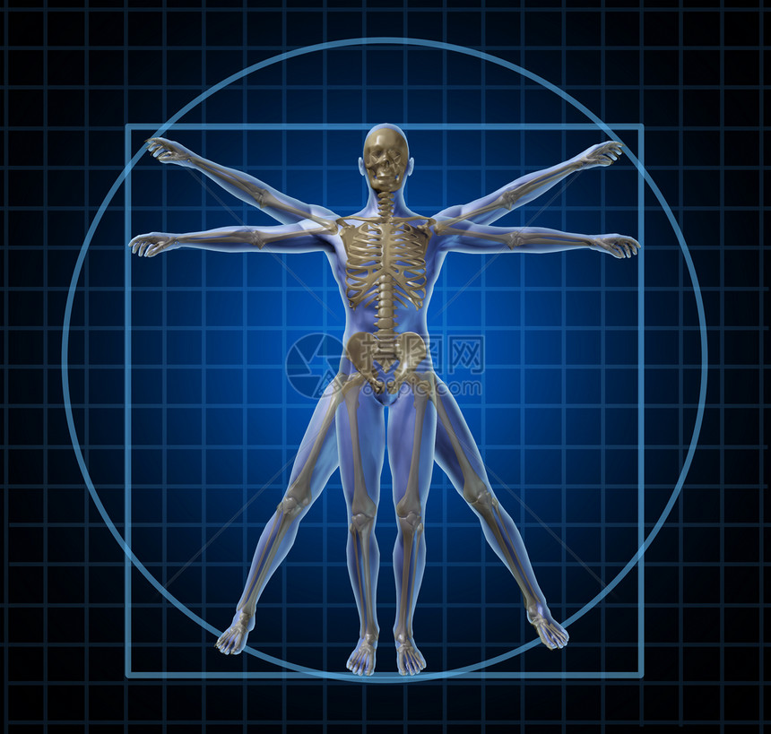 维特鲁安人类骨骼和身体作为前锋leonardvinc像解剖装作医疗和学图标在黑色背景上图片