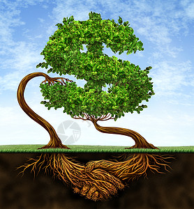金融增长协议两棵树的形状是美元标志其根部是握手合作达成在蓝天上功获得财富的合同交易背景图片
