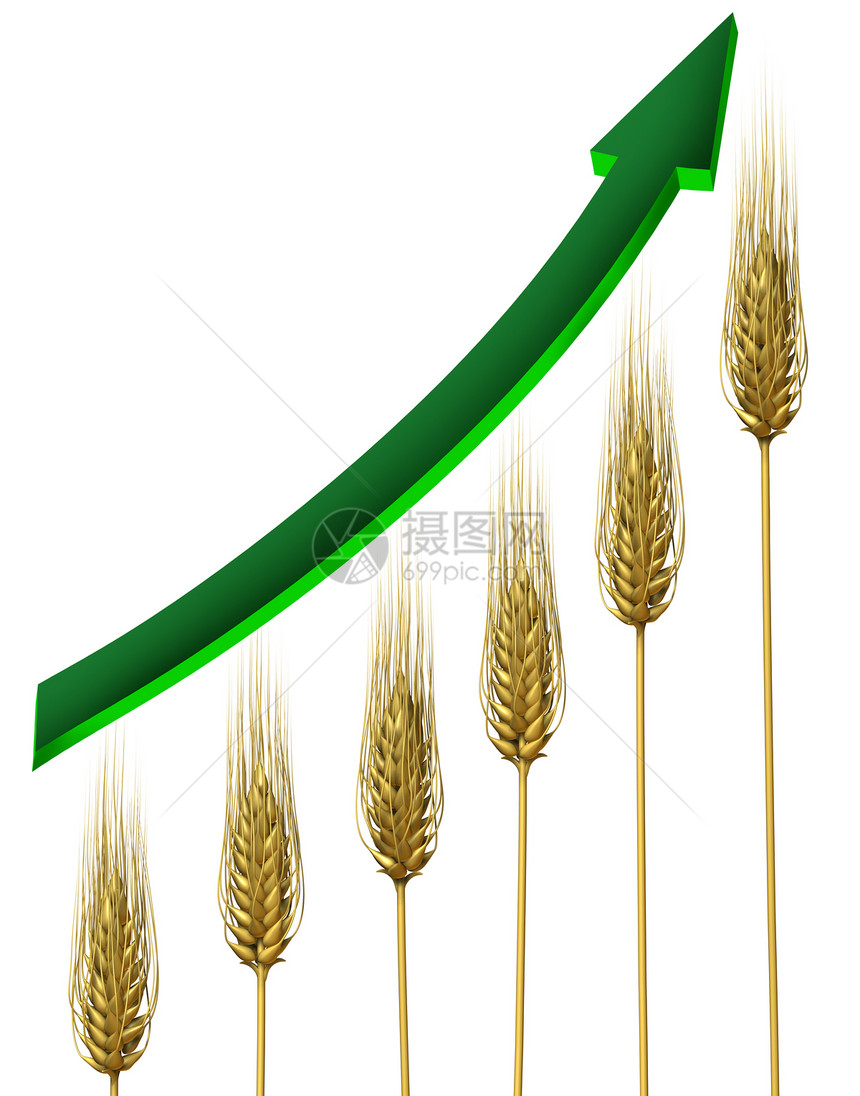 农耕业和商利润象征着小麦图和绿箭的上升增长以白色背景向上看是粮食价格增长的象征图片