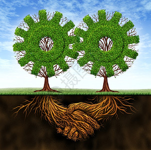 商业协议和合作导致两个伙伴之间财政增长并共同提出了两棵树的构想根以握手形式成背景图片
