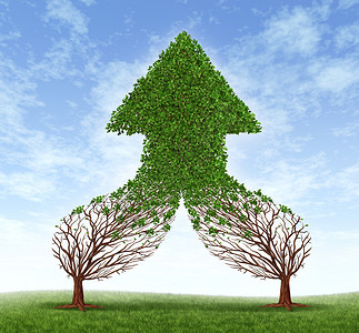 作为团队合成功的一个标志将商业象征和金融兼并作为连接和合的两棵树作为健康生长的箭形树成一棵作为团队合成功的一个象征背景图片