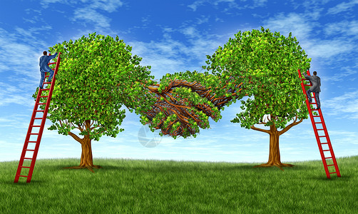 建立商业信任并通过协议建立金融伙伴关系协议规定两棵树以手摇的方式与商人携手合作为成功而奋斗背景图片