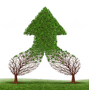 炫彩树形箭头作为商业象征和金融兼并的概念携手合作将两棵树连接和合并成一棵树形健康生长的箭形树作为增长的象征背景
