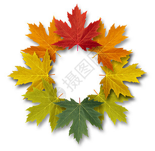 秋天叶装饰圆形框架空中心作为秋季和从夏到冬的白色背景节装饰品图片