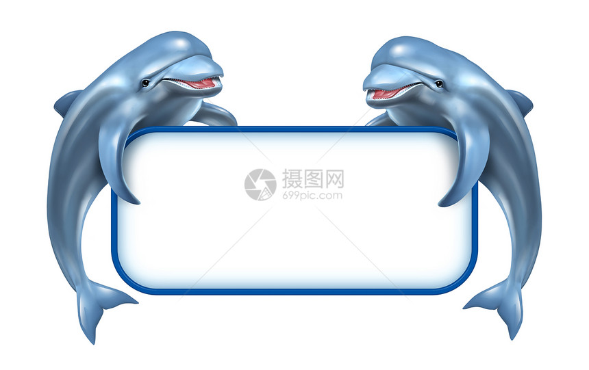 两只快乐的跳海豚有着白的空标志与海洋和水生相关的公告涉及生活在水中和海洋的自然以及沉积的蓝海中生命图片