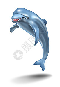 卡特尔海豚以白色背景在空中跳跃成为海洋生命的一个有趣自然象征背景