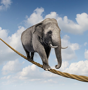 大象在空中高的一条危险绳子上行走作为平衡和克服对目标成功恐惧的象征图片