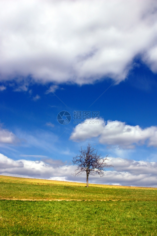 绿野和孤树与蓝天白云相对图片