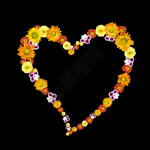彩花的装饰心脏符号图片
