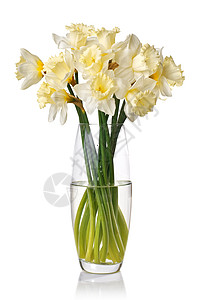 孤立于花瓶中的白色花束图片